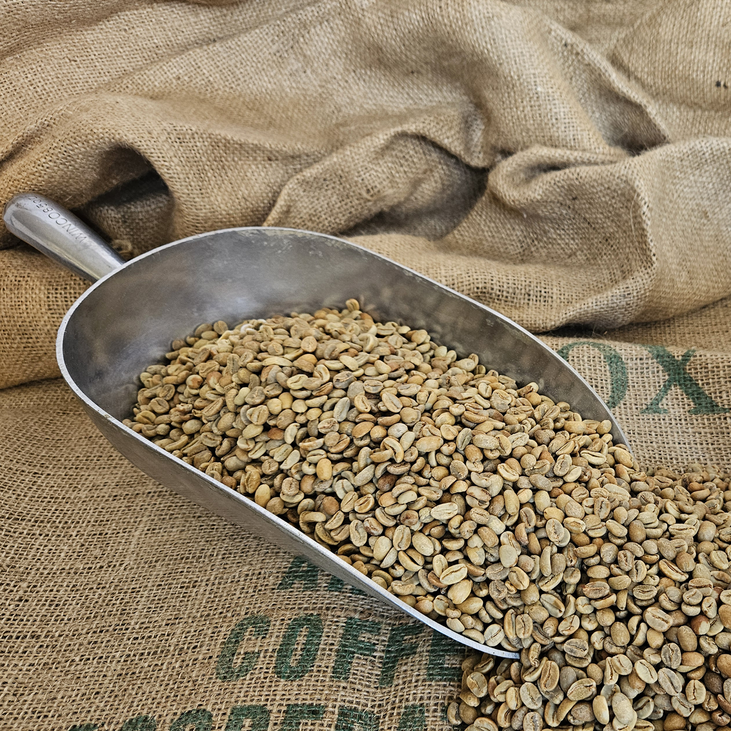 Tanzania Peaberry Green Beans
